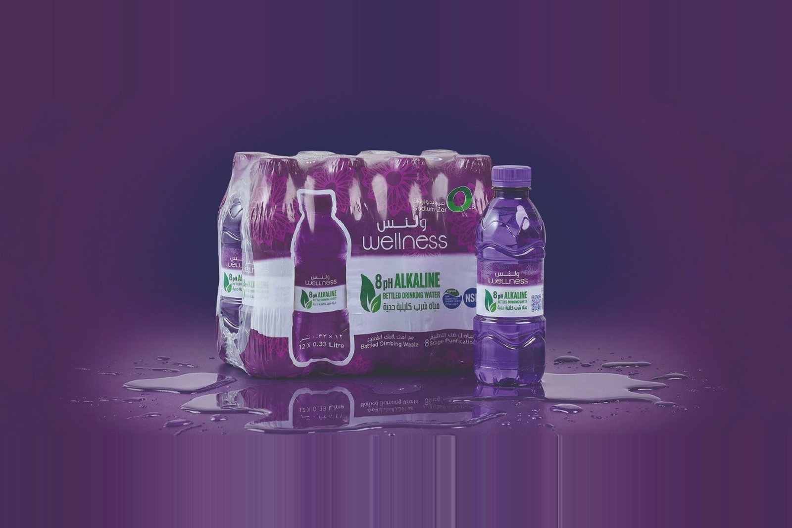 Wellness Alkaline Water (12X330)